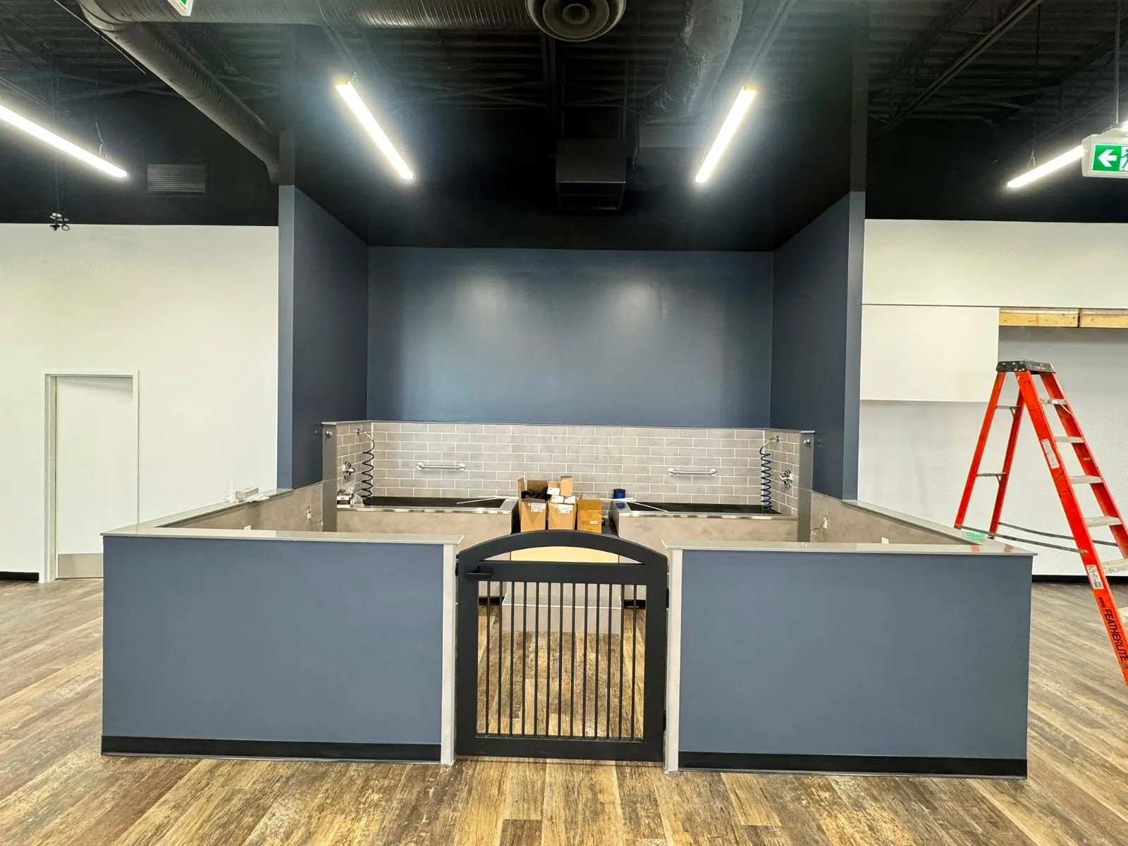 Pet Valu, Langdon site photo 4 by Quality Gypsum Services